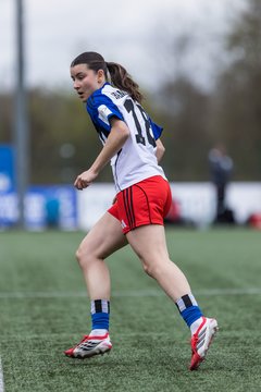 Bild 163 - F Hamburger SV 2 - SpVg Aurich : Ergebnis: 1:1
